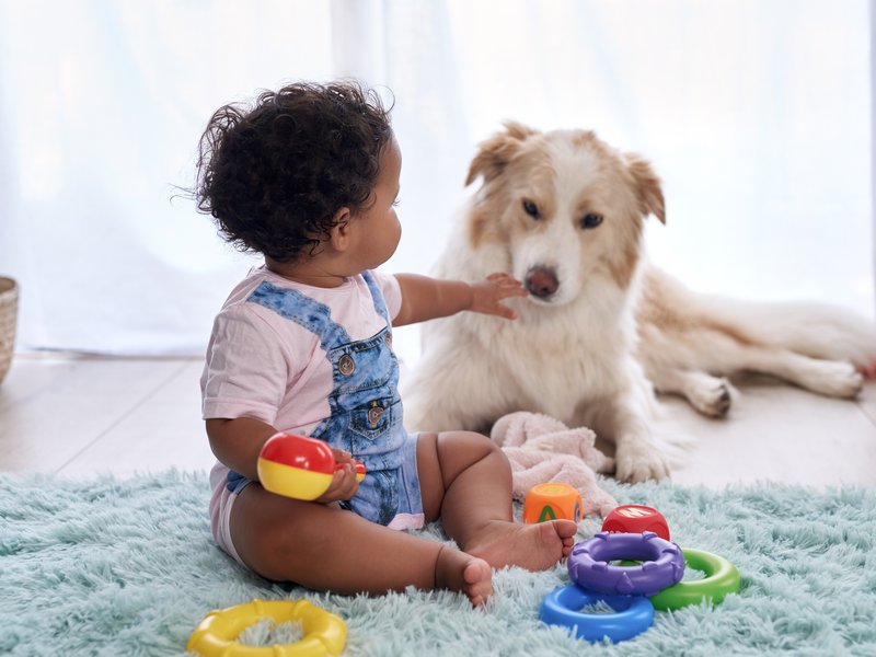 Dog bites baby in the face!