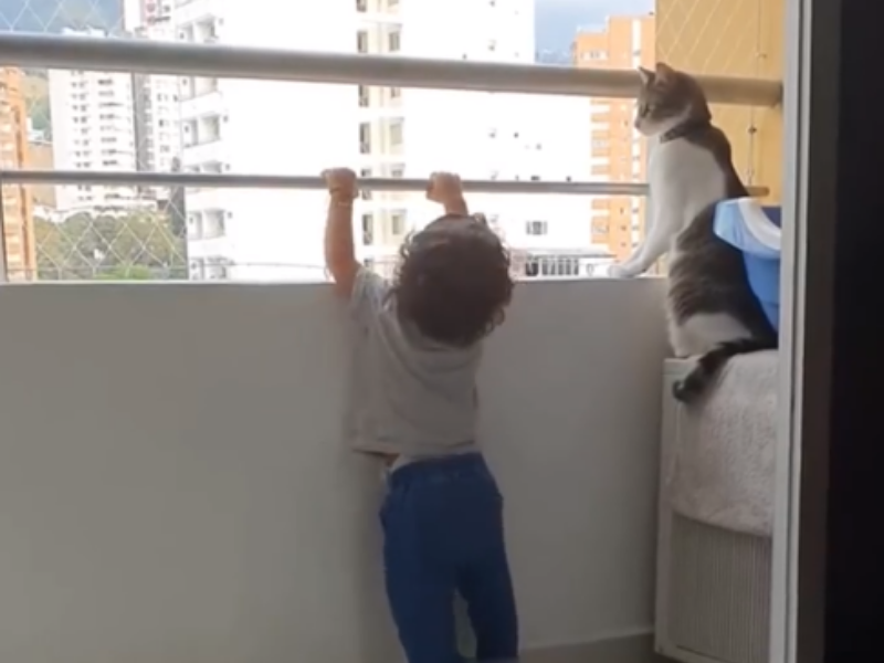 Baby holding balcony railing and pet cat is watching