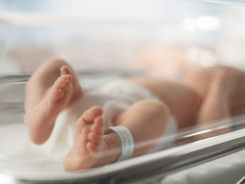 Baby lying bassinet in a maternity hospital
