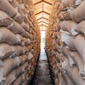 Bags of sorghum