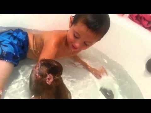 monkey bath