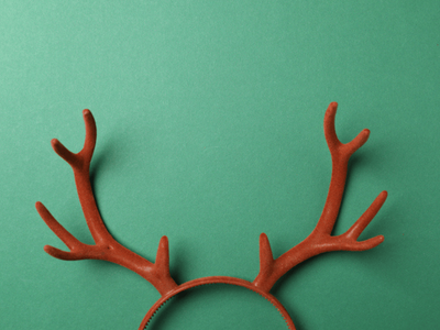 These are the most misspelt words in South Africa for 2025