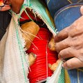 Beitbridge explosives