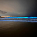 LOOK: Cape Town beaches glow blue thanks to natural wonder