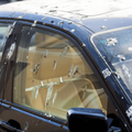 Bird droppings on a dark coloured car