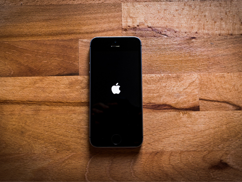 Black gray Apple iPhone 5s