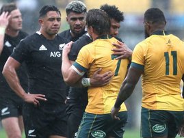 Bledisloe Cup