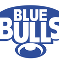 Blue Bulls Logo 3