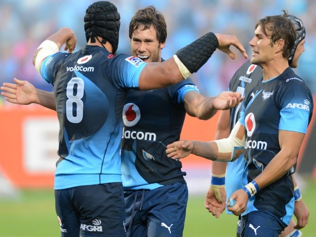 Blue Bulls spies Gallo.jpg
