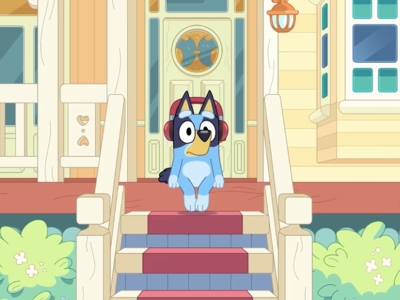 Bluey sitting on the stairs of the porch at her home