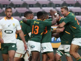 Springbok Showdown Green vs Gold