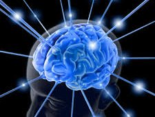 Brain.jpg