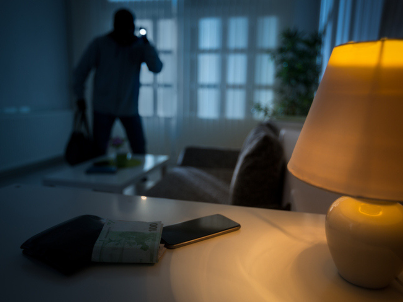Burglar in a house