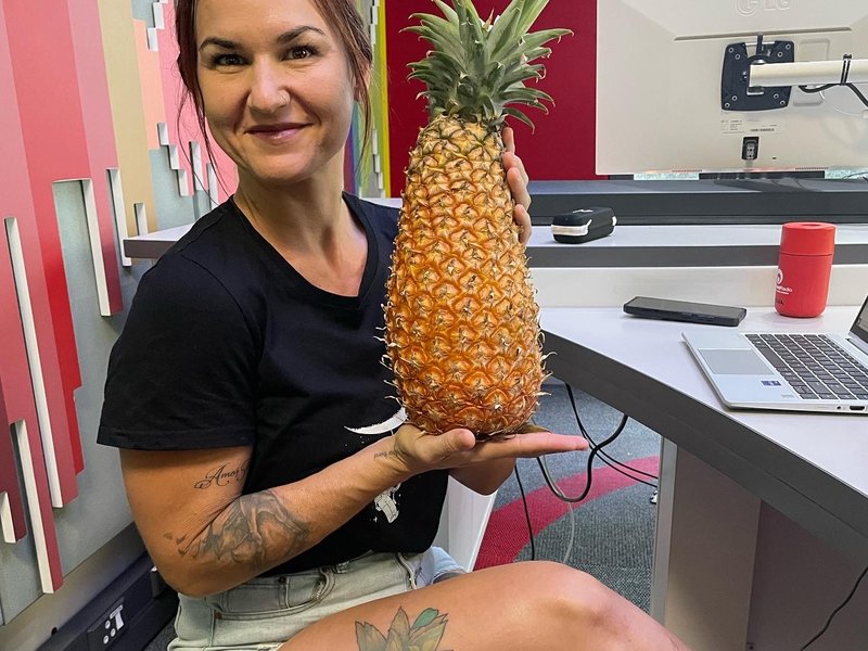 Keri Miller brought the biggest pineapple we have ever seen in real life to the studio.