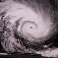 Cyclone