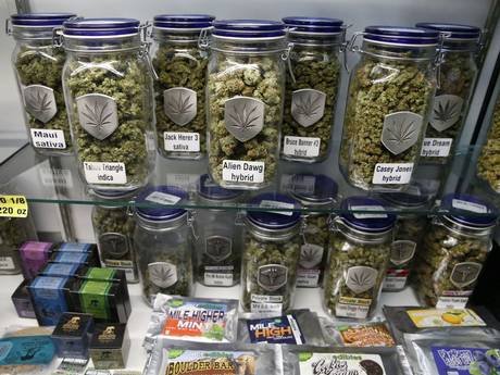 Cannabis-colorado.jpg