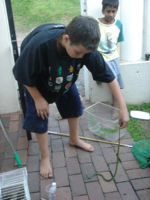 Nick Evans catching a bush snake at 8 years old