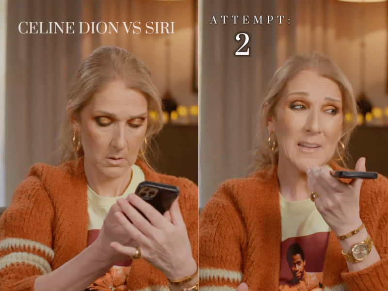 Celine Dion chatting on her phone