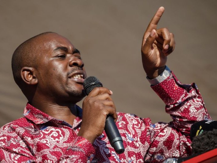 Chamisa 098
