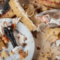 Chaos at a wedding celebration shown by the smashed cake