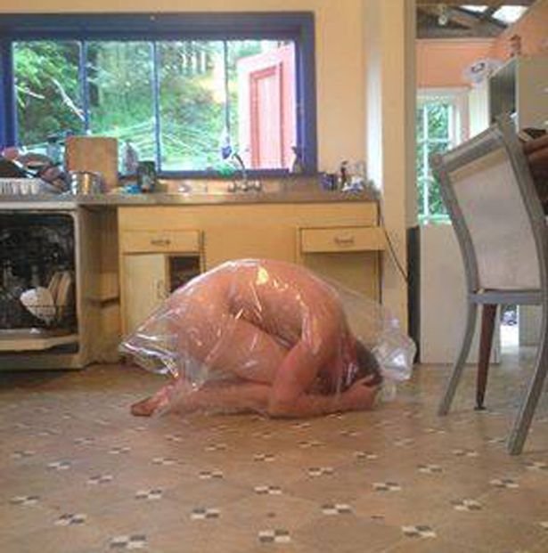 Chook 2