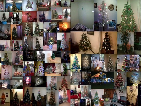 Christmas Tress Listeners.jpg
