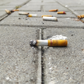 Cigarette butts