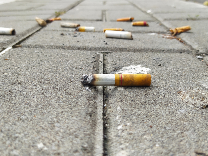 Cigarette butts