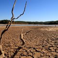 Climate change drought