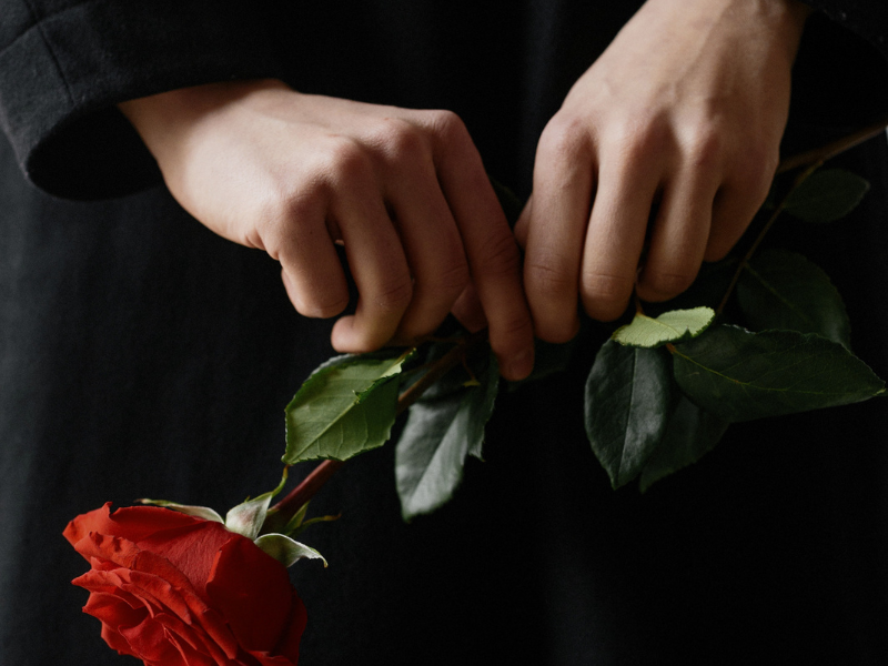 Close up shot of person holding a red rose