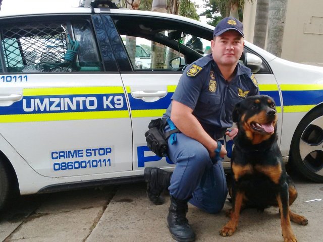 Constable_Brandon_Gates_patrol_dog_Zues.jpg