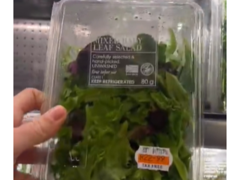 Container of lettuce from grocery store