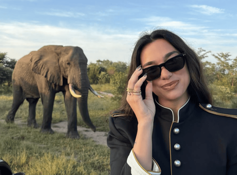 DUA LIPA KRUGER NATIONAL PARK