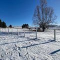 DULLSTROOM WINTER