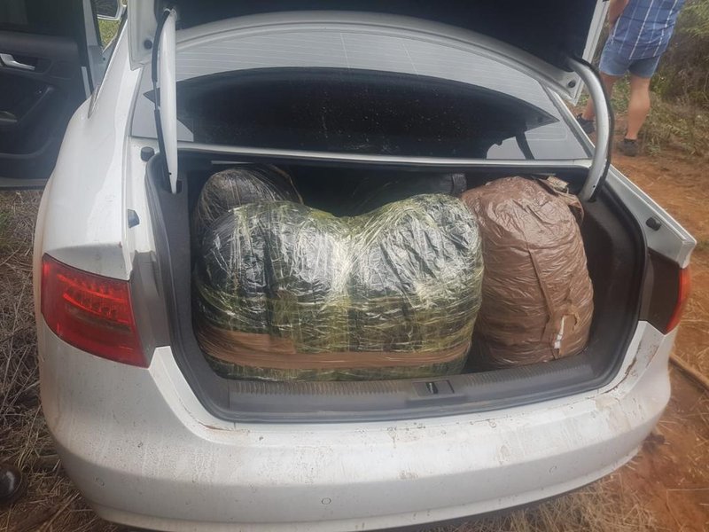 Vryheid dagga