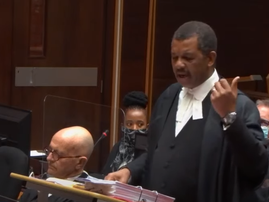 Advocate Dali Mpofu