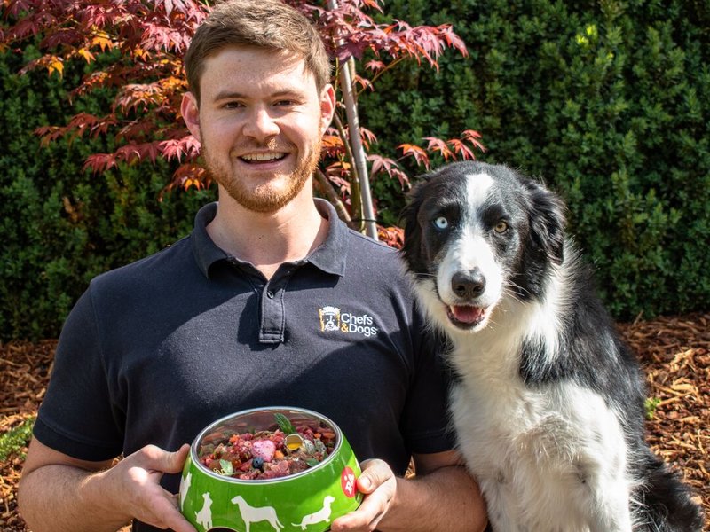 Chefs and Dogs