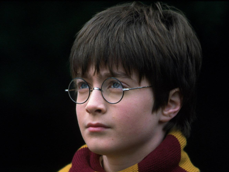 Daniel Radcliffe as Harry Potter