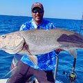 Dean Reddy with a massive KOB caught off the north coast