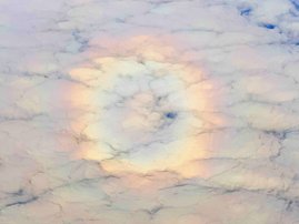 Glory Rainbow