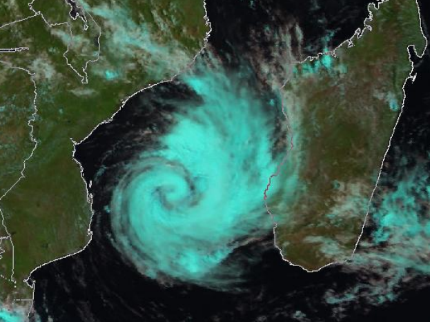 Dineo Update