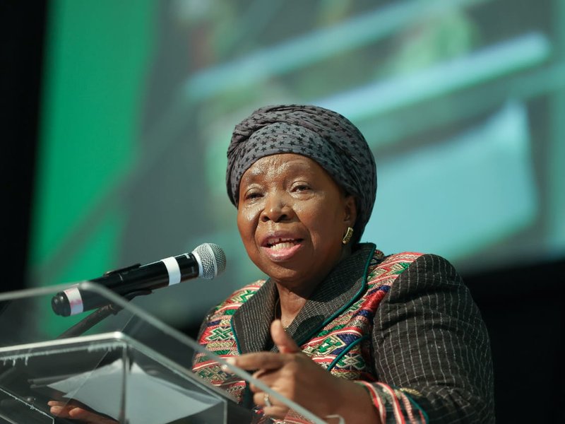 Dlamini-Zuma urges rural KZN communities to drive economic development