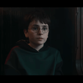 Dominic McLaughlin as Harry Potter