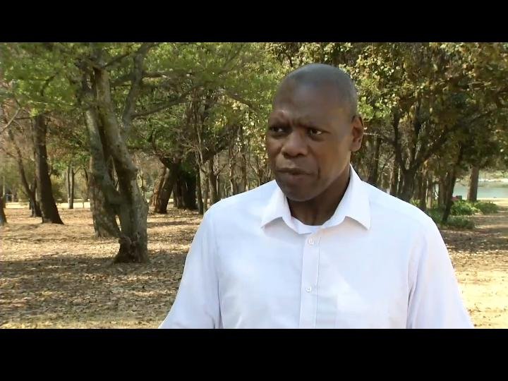 Zwli Mkhizi