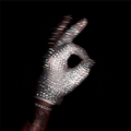 Drake Iceman album cover