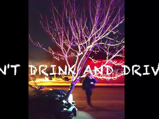 Drunk driver hits tree and drives on with it stuck to her car