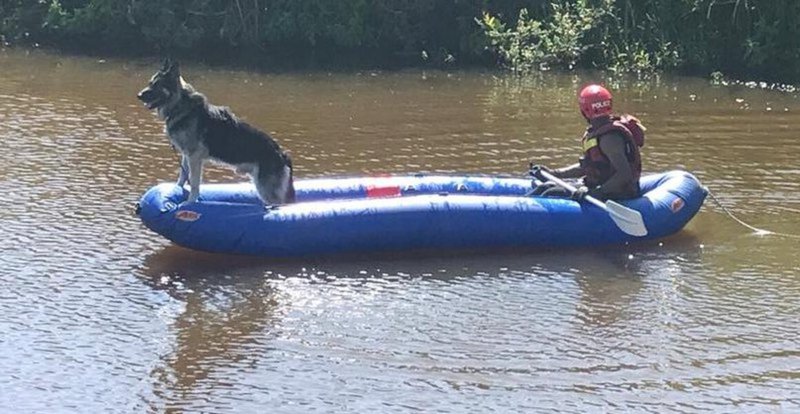 Mother, three children drown in Pretoria dam