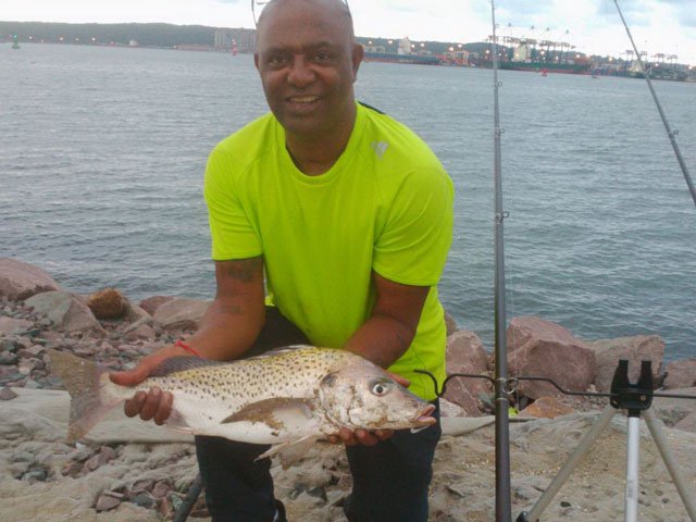 Durban_Grunter.jpg