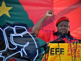EFF CHARGE GALLO.jpg