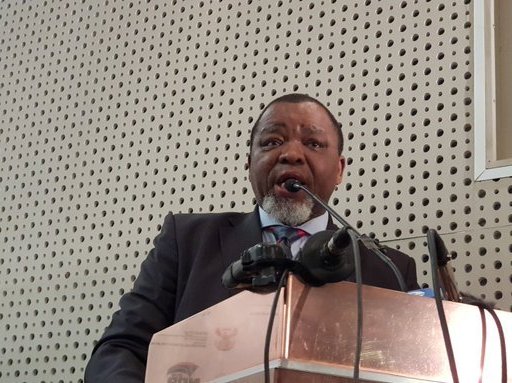 Gwede Mantashe Profile